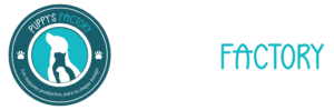 Puppy's Factory
